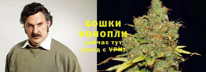 Бошки марихуана LSD WEED  ОМГ ОМГ вход  Катайск  купить закладку 